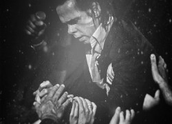 Image of Nick Cave & the Bad Seeds and Billions Australia