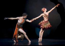 Image of The Australian Ballet