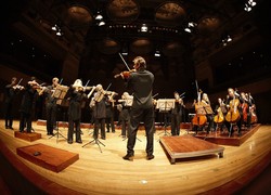 Image of Australian Chamber Orchestra