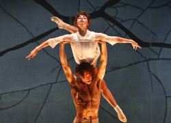 Image of The Australian Ballet