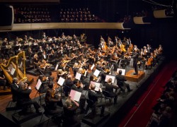 Image of West Australian Symphony Orchestra