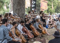 Image of Womadelaide Foundation