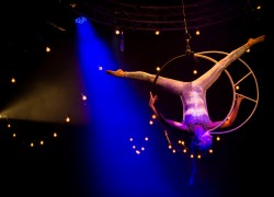 Image of Sydney Opera House, Melbourne International Comedy Festival, Arts Centre Melbourne, The Flying Fruit Fly Circus