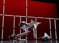 Image of Sydney Dance Company