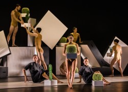 Image of Sydney Dance Company