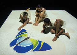 Image of Insite Arts, Compagnia TPO and Performing Lines for Blak Lines